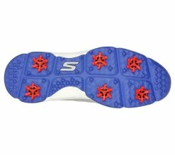 ﻿Skechers Go Golf Torque 2 Golf Shoes 214027 -Golf Clothing Sales Shop 214027 GYBL C