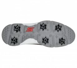 Skechers Go Golf Torque Golf Shoes 54541 -Golf Clothing Sales Shop Skechers Golf Torque Shoes 54541 159